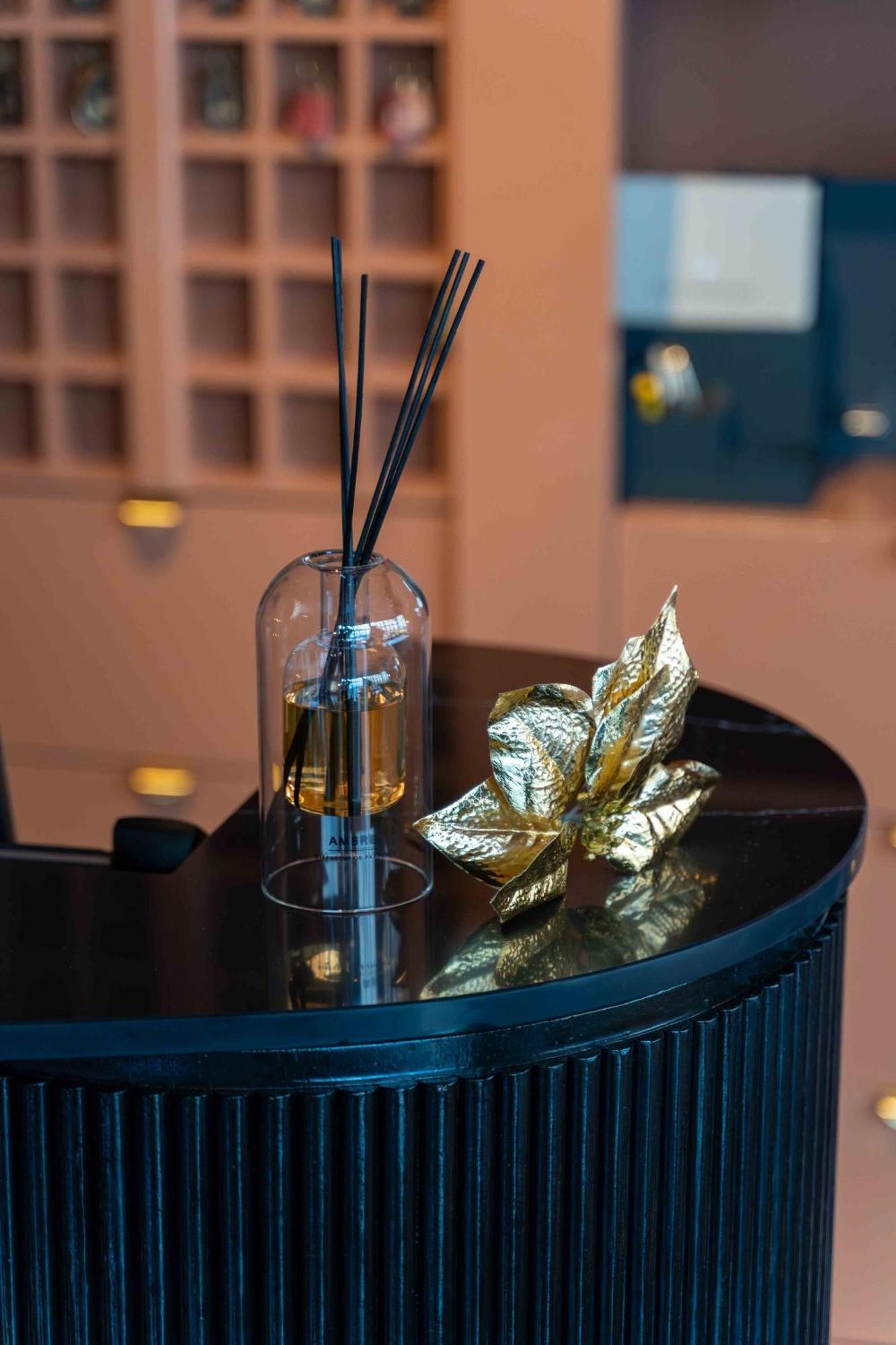 Hotel Et Restaurant Le Regina Le Puy-en-Velay ภายนอก รูปภาพ